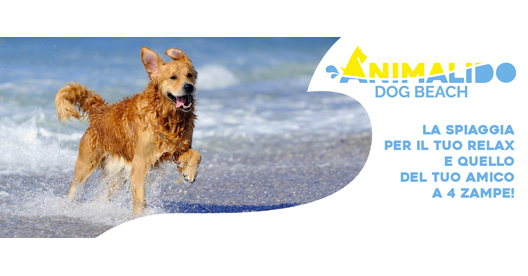 Spiaggia Per Cani Fano Pesaro Marche Animalido Dog Beach